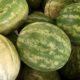 Un bărbat a cumpărat un pepene verde de 130 kg, dar când l-a tăiat, a fost extrem de surprins