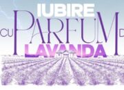 Din această toamnă: Iubire cu parfum de lavandă, pe Antena 1. Când începe?